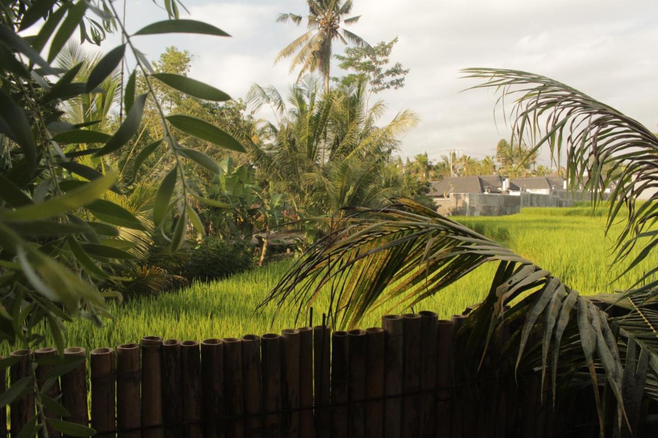 Ancut Sari Villa Ubud  Exterior photo